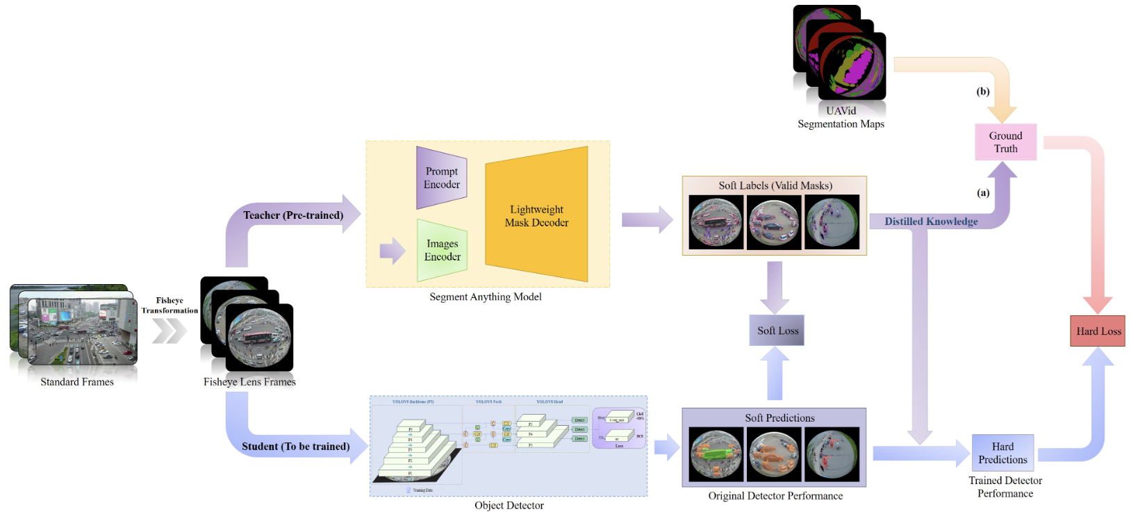 AirEyeSeg: Teacher-Student Insights into Robust Fisheye UAV Detection