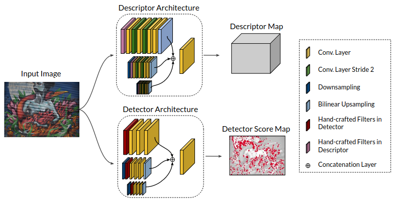 HDD-Net: Hybrid Detector Descriptor with Mutual Interactive Learning