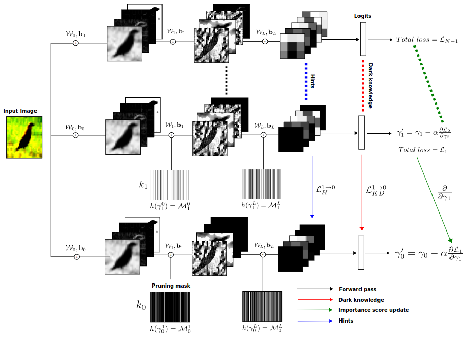 Cascaded Channel Pruning Using Hierarchical Self-Distillation